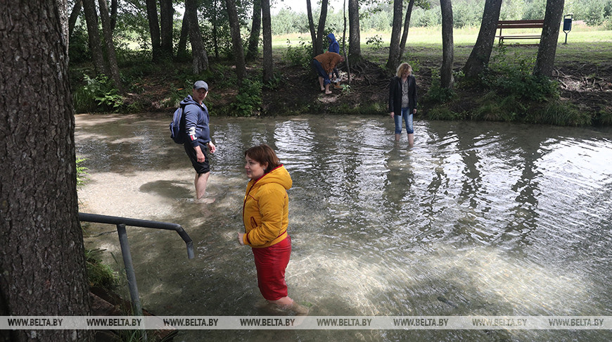 Новы рэцэпт барацьбы з COVID-19 ад Лукашэнкі: мёд паспрабаваў і ў крыніцу