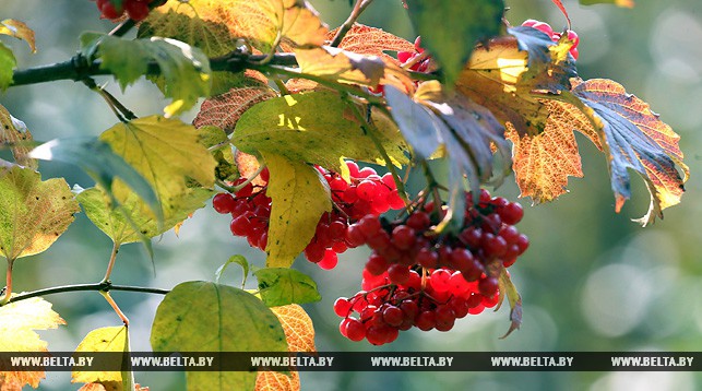 У пятніцу ўдзень у Беларусі будзе 12-18 цяпла