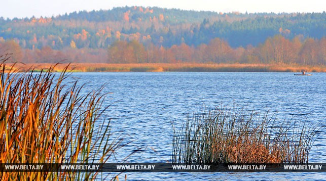 У сераду ў Беларусі чакаецца да 14 цяпла, дажджы