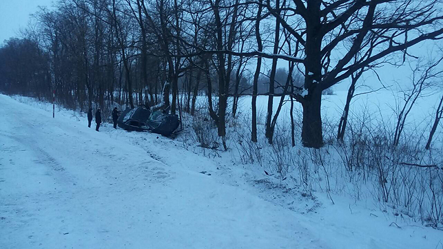 У Калінкавіцкім раёне “Аўдзі” сутыкнулася з дрэвам, загінула кіроўца