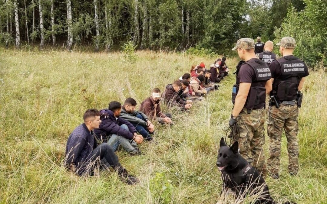 А как по закону? Вместе с юристом разбираем "кейс про метадон" на границе