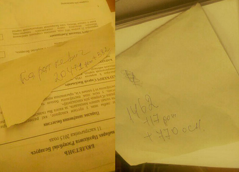 Член выбарчай камісіі: За Караткевіч прагаласавалі 587, а ёй напісалі 80 (фота)