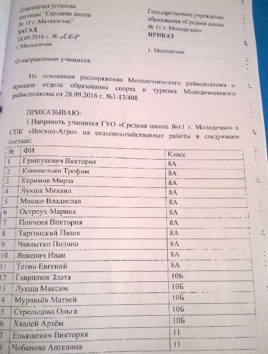 8-класнікаў на ўборку бульбы, дзе загінула дзяўчынка, паслала кіраўніцтва школы