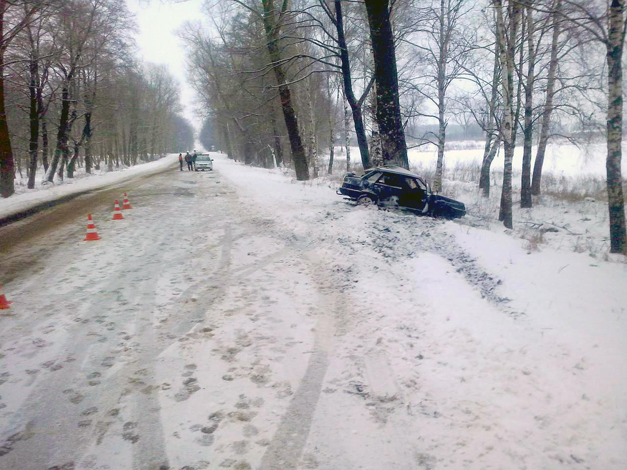 У Рэчыцкім раёне легкавік сутыкнуўся з дрэвам, загінуў 20-гадовы кіроўца