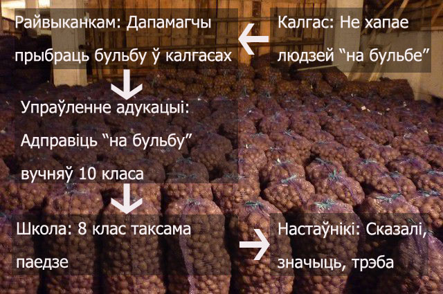 “Сачылі, каб дзеці добра збіралі бульбу”: У Маладзечне судзяць настаўніц