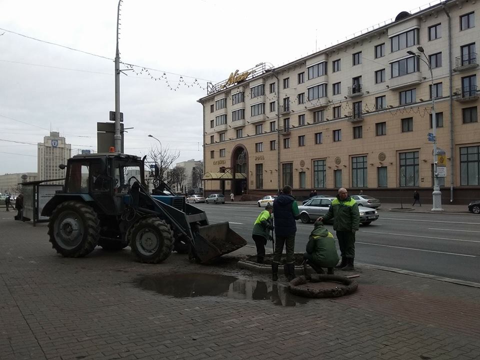 На проспекте Независимости в Минске снова пересаживают деревья