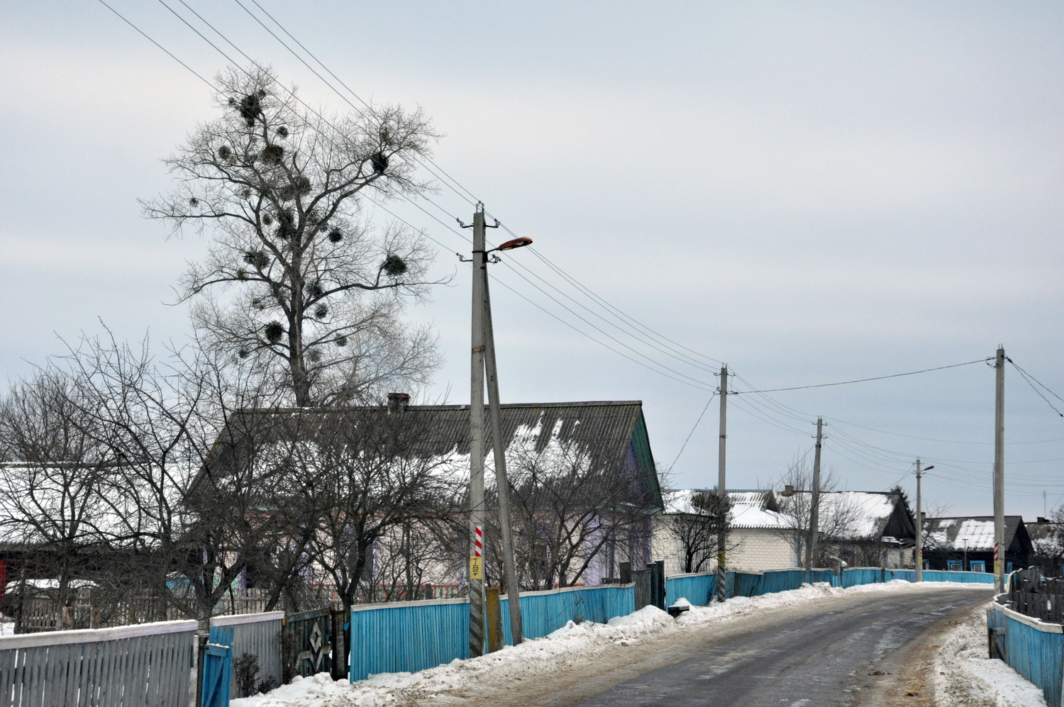 "А праўда, што Андрэй наш у Мінску папулярны?" Рэпартаж з Прудка