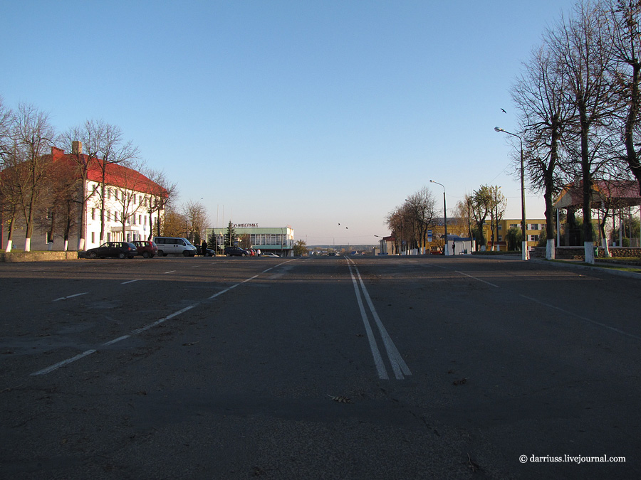 Жалоба из Копыля: в городе завёлся “Толя Бобёр”, который уничтожает деревья