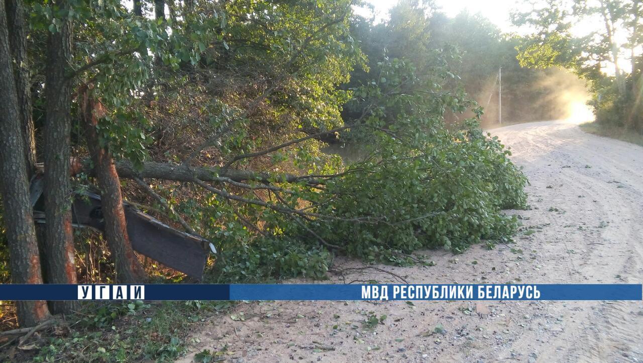 П'яны 18-гадовы кіроўца мікрааўтобуса разбіўся пад Кобрынам