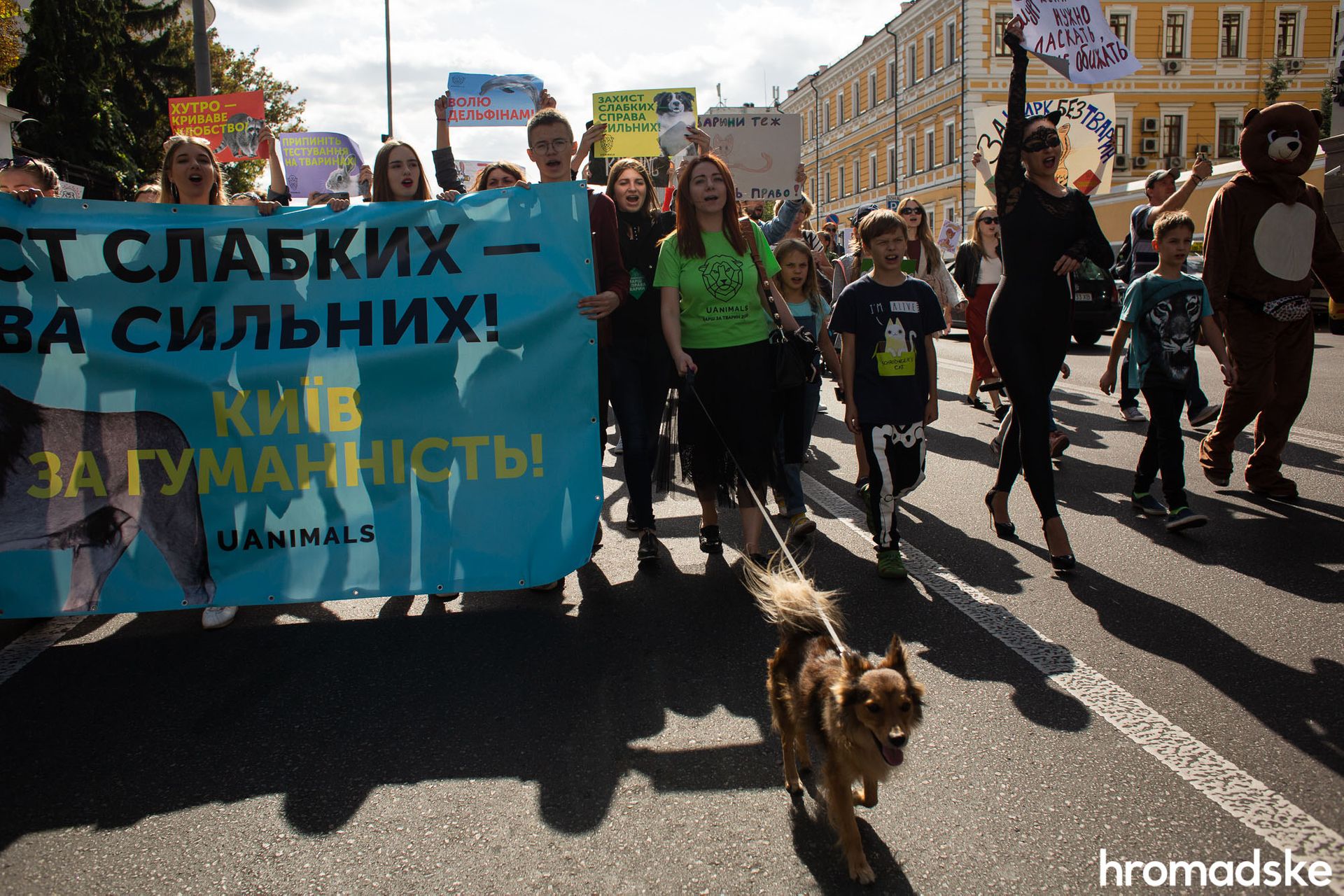 "Украина — гуманная страна": киевляне вышли на марш за животных