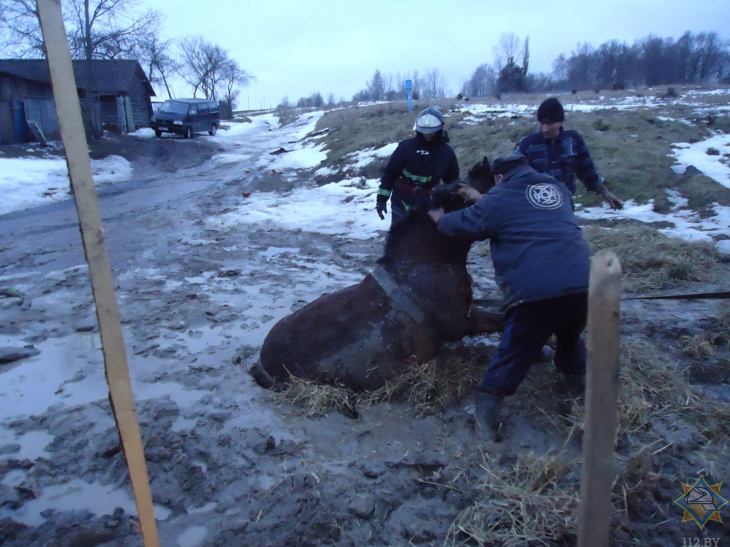 История одной ямы, в которую провалилась лошадь