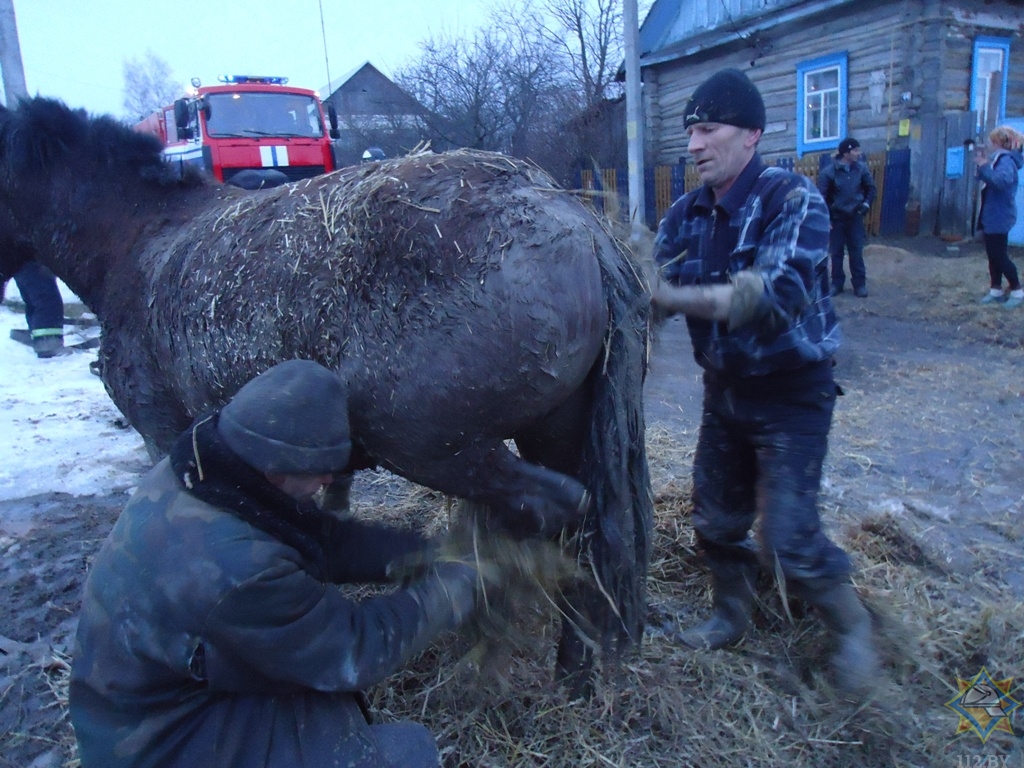 История одной ямы, в которую провалилась лошадь