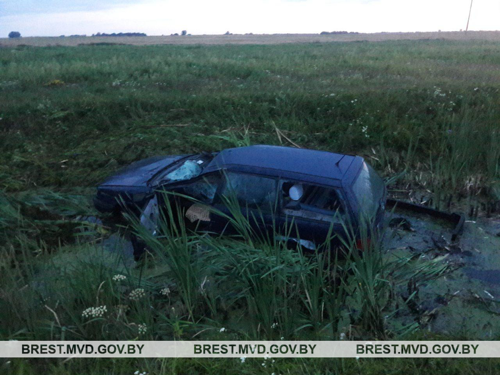 Пад Брэстам машына збіла лося: жывёла загінула, кіроўца ў рэанімацыі (фота)