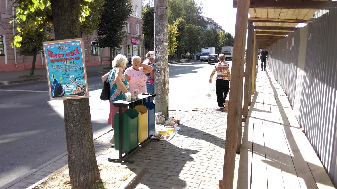 Магілёўскія гандляркі выкарыстоўваюць сметніцы як прылаўкі (фотафакт)