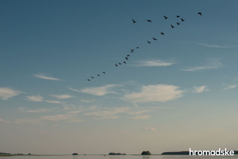 Из Балтики в Черное море: цена водного пути Е40