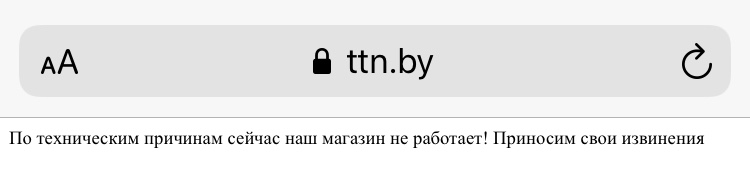 Временно отключён: что происходит с крупным ретейлером хозтехники TTN.by