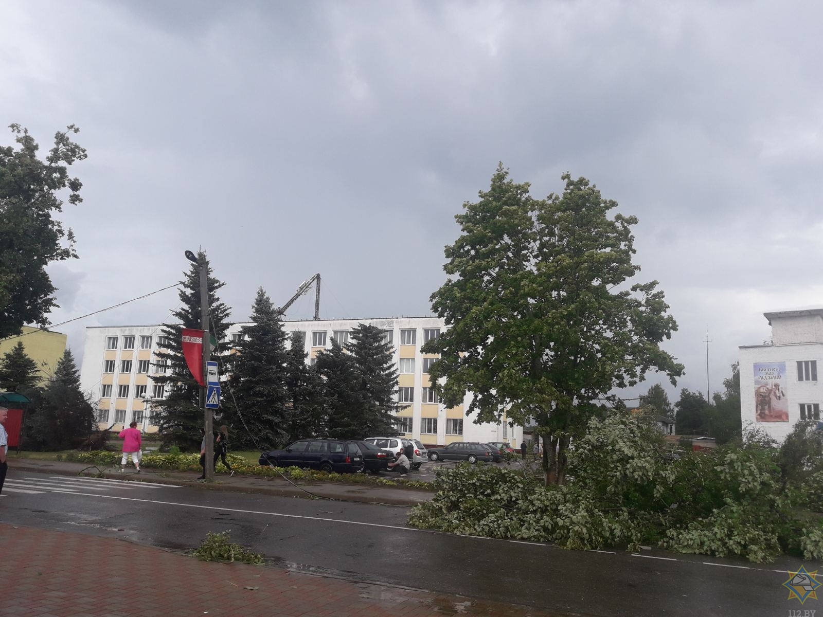 У Віцебскай вобласці моцны вецер ламаў дрэвы, пашкоджана вышка сувязі