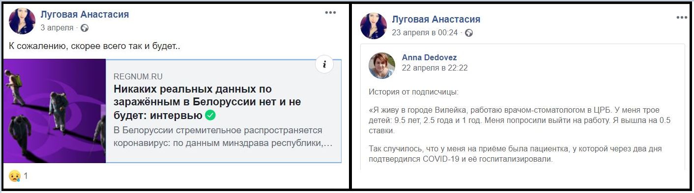 Работает ли “фабрика троллей” в Беларуси?