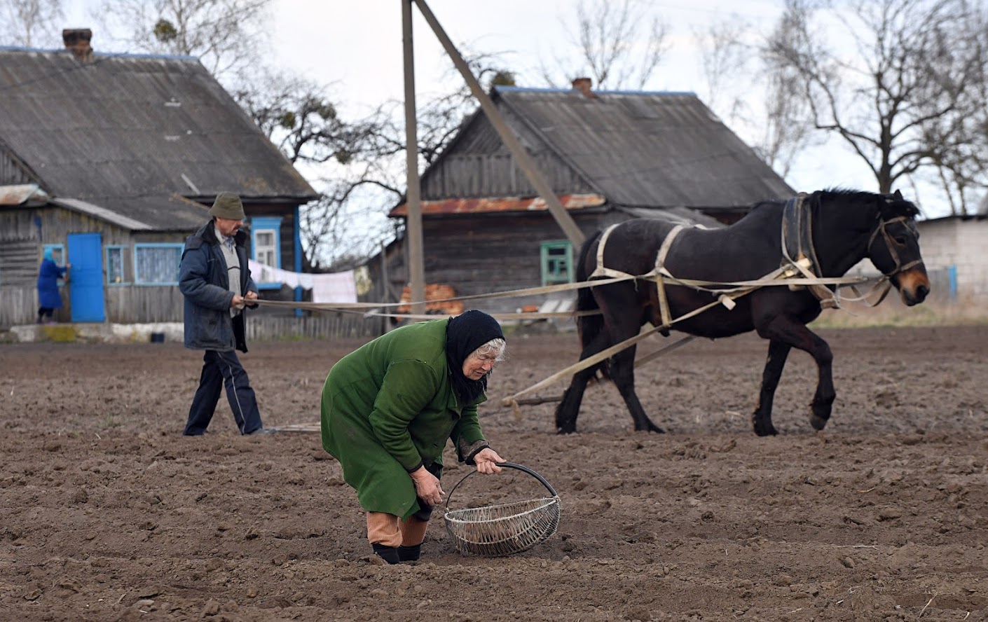  2020 як 2015: чым сёлетнія прэзідэнцкія выбары падобныя да мінулых