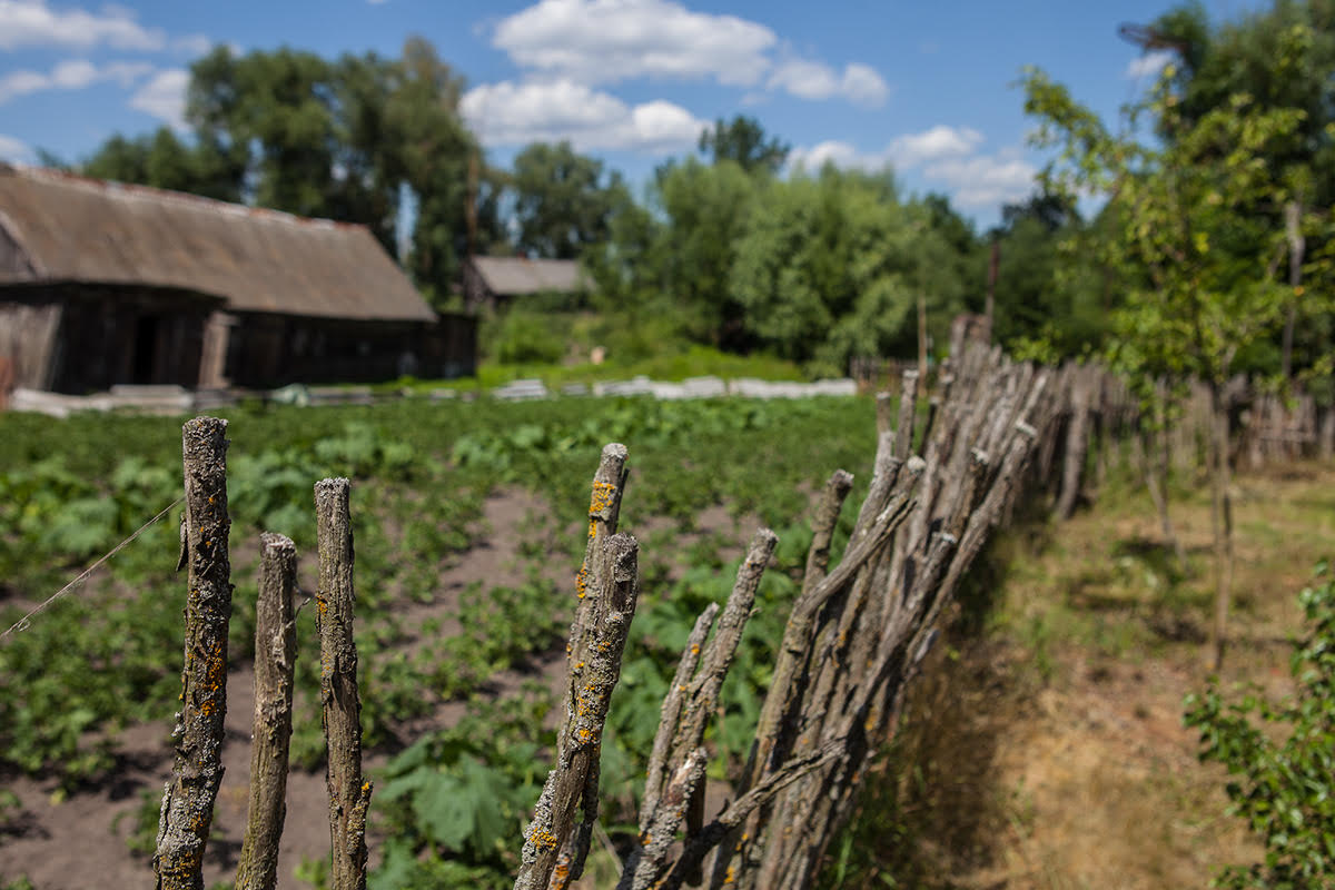 Закінуты свет. Палеская вёска з чаротавымі стрэхамі магла б стаць музеем. Але не