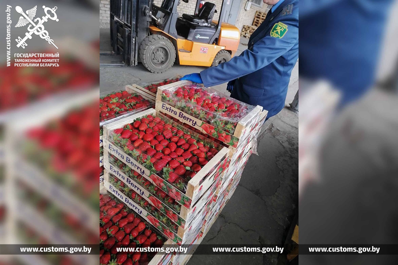 Віцебскія мытнікі перахапілі груз офіснай паперы, які везлі з Расіі