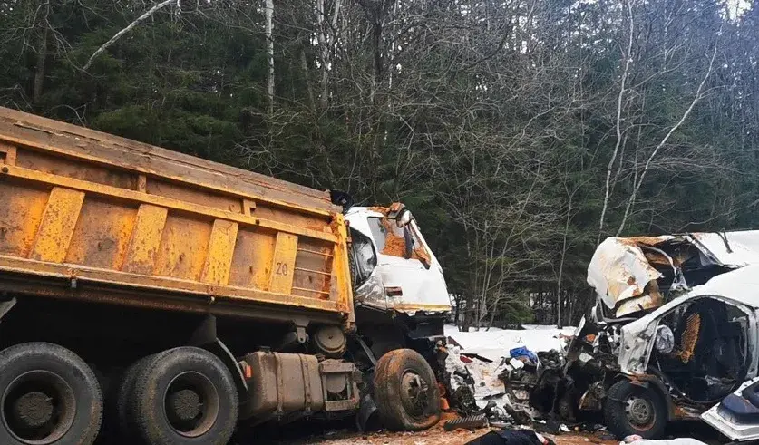 Следчыя распавялі пра абставіны жахлівай аварыі пад Смалявічамі і вінаватых