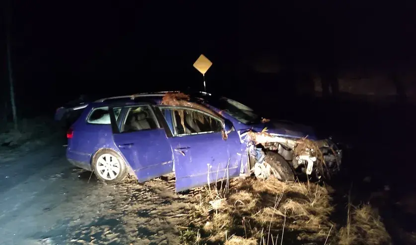У Лунінецкім раёне аўтамабіль зваліўся з моста, загінула 17-гадовая дзяўчына
