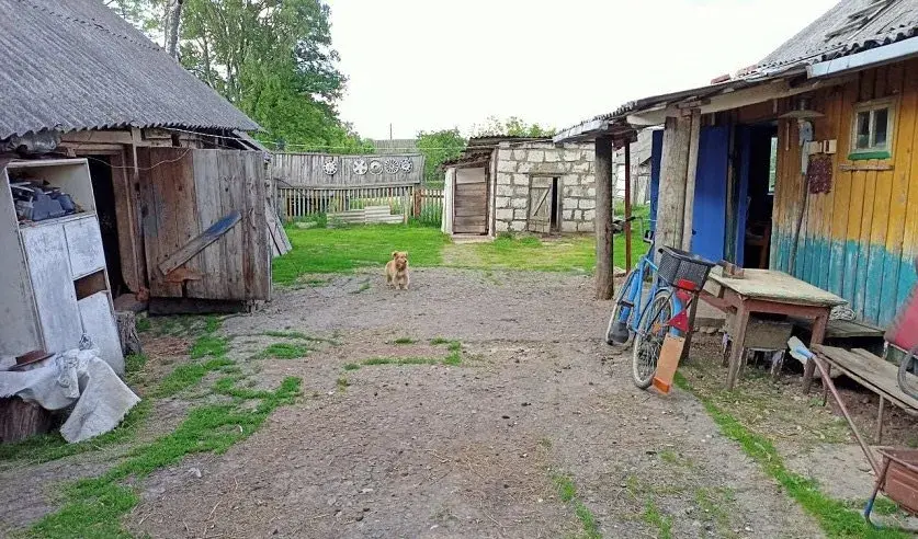 У Шклоўскім раёне жанчыну аблілі гаручай вадкасцю і падпалілі