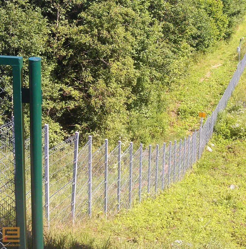 Беларускія мытнікі затрымалі больш "санкцыйных" тавараў, чым расіяне