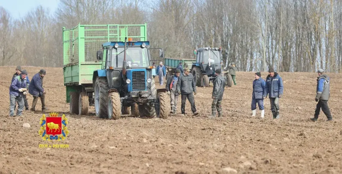 У Ашмянскім раёне студэнтаў і вайскоўцаў адправілі на палі збіраць камяні