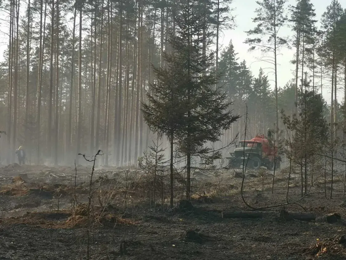 Пад Бягомлем змагаюцца з буйным лясным пажарам