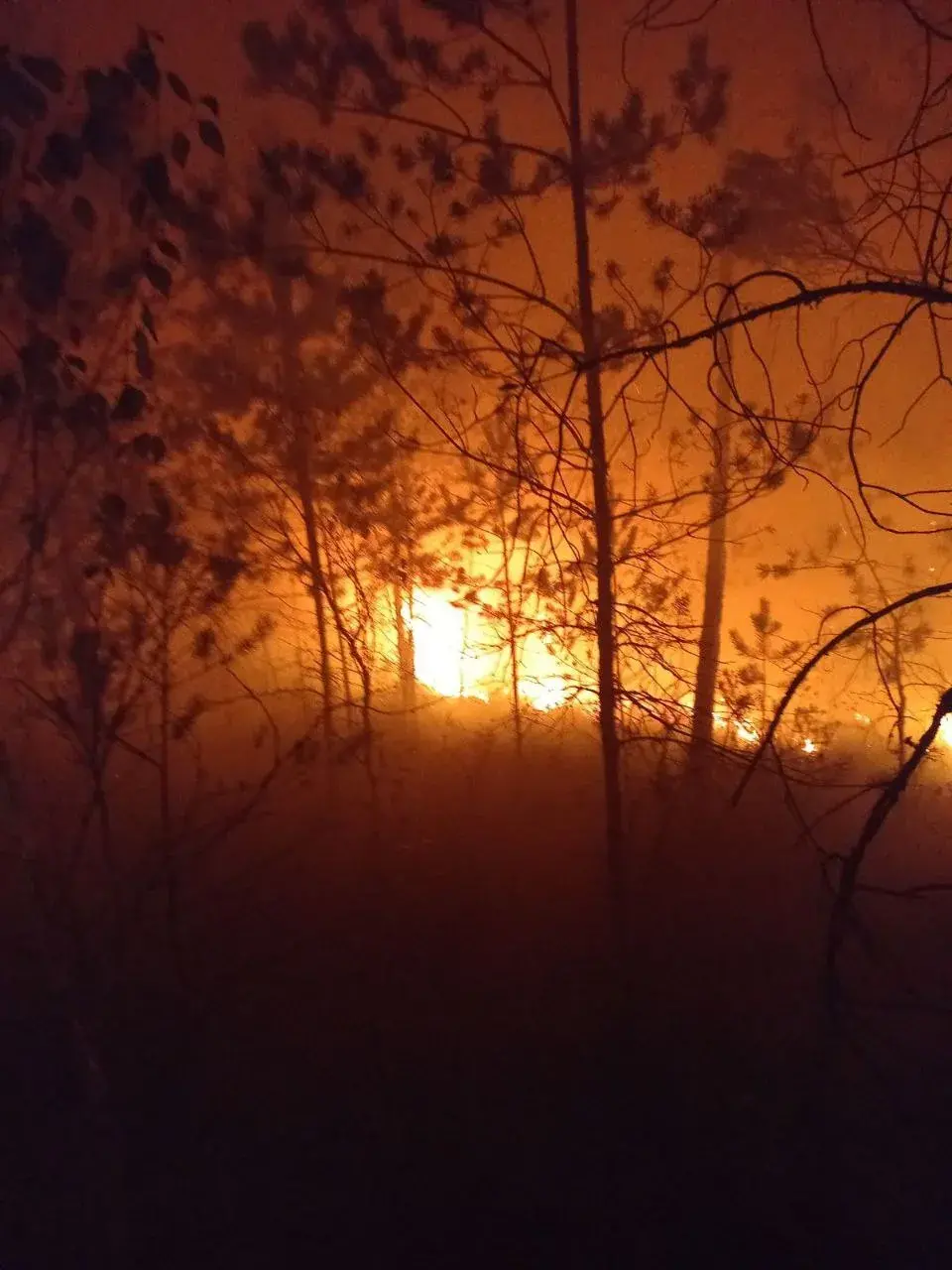 На Палессі працягваюць змагацца з буйным пажарам