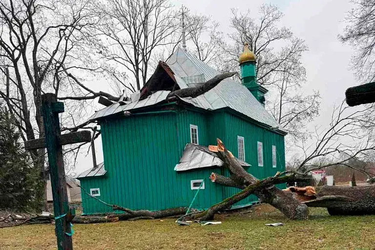 У Камянецкім раёне дрэва ўпала на 200-гадовы храм