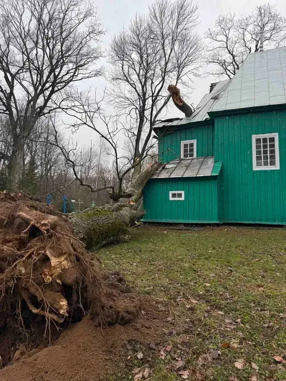 У Камянецкім раёне дрэва ўпала на 200-гадовы храм