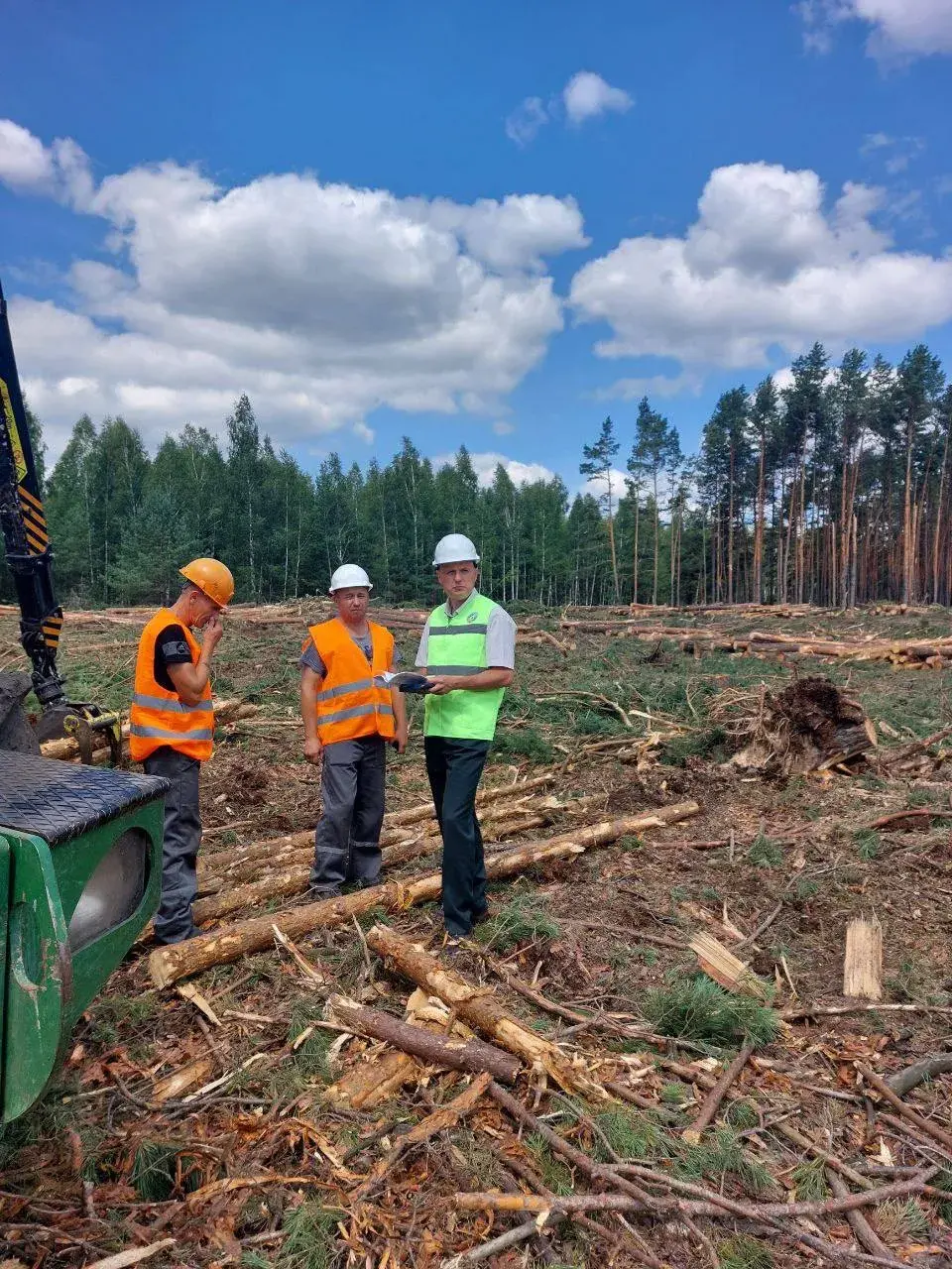 На нарыхтоўку і вываз пашкоджанага ўраганам лесу спатрэбіцца тры месяцы