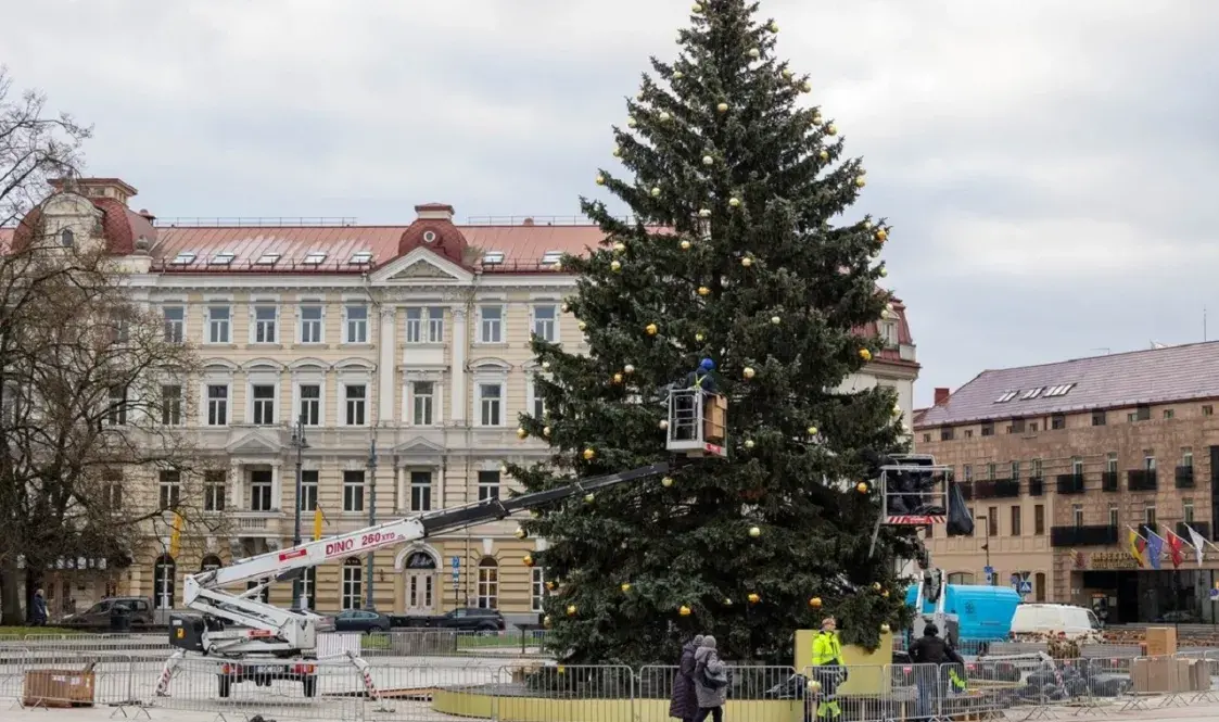 Еўрапейская сталіца Калядаў і мемуары Ангелы Меркель пад ялінку — #ІхНоравы