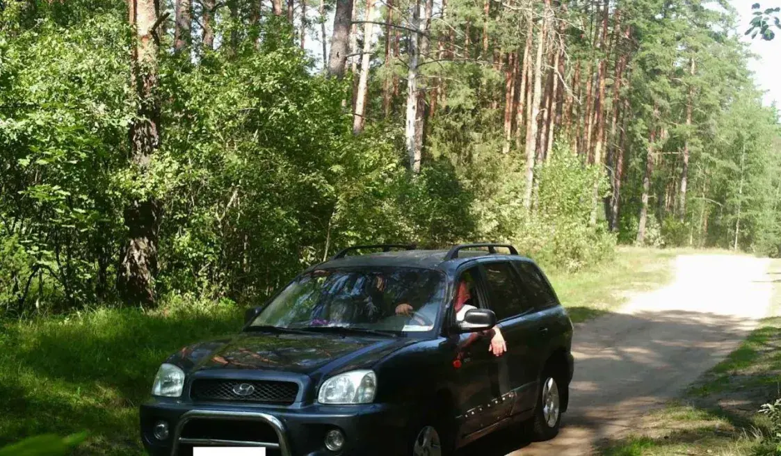 У Валожынскім раёне ў лясах злавілі 110 чалавек