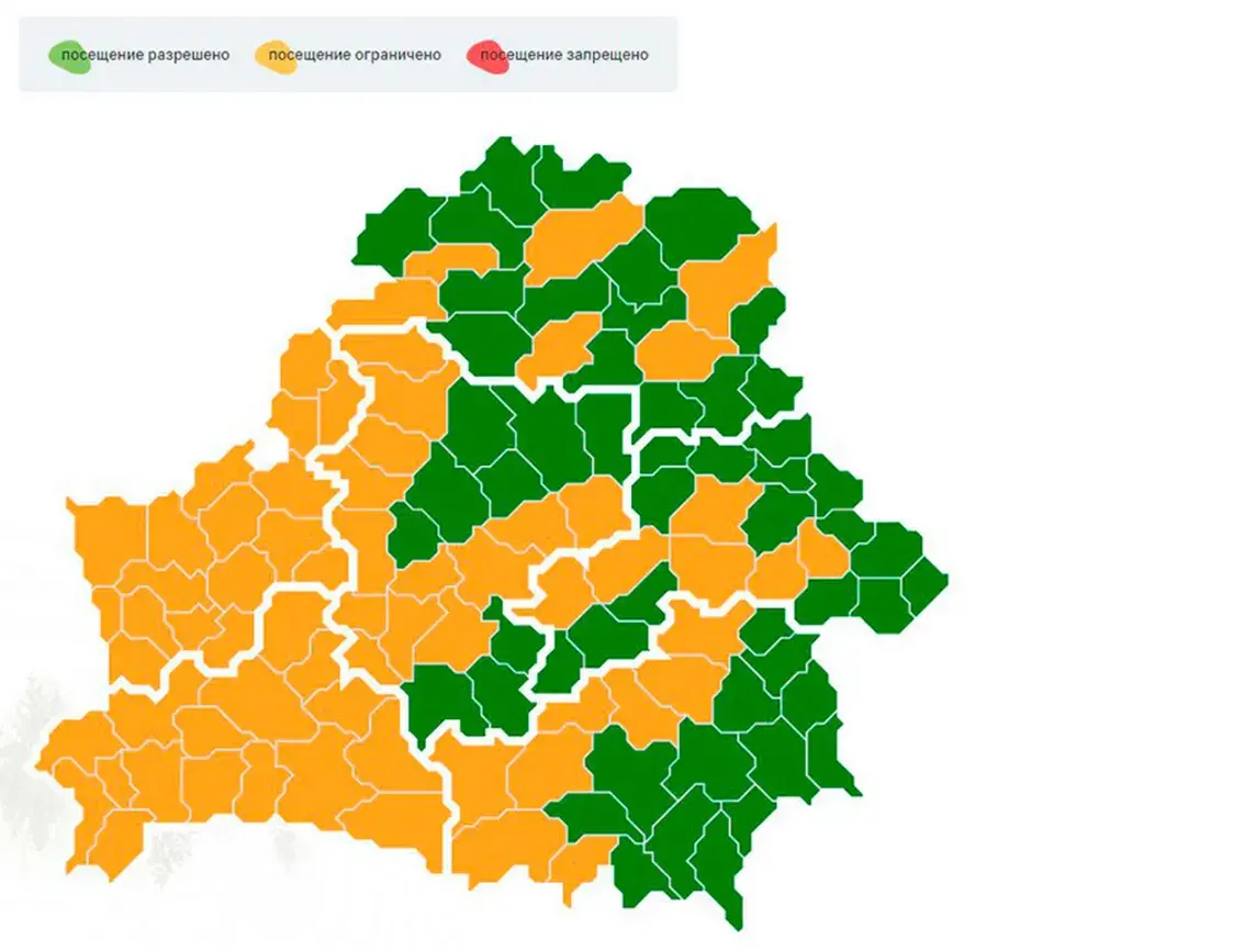 Более чем в 60 районах Беларуси ввели запрет на посещение лесов