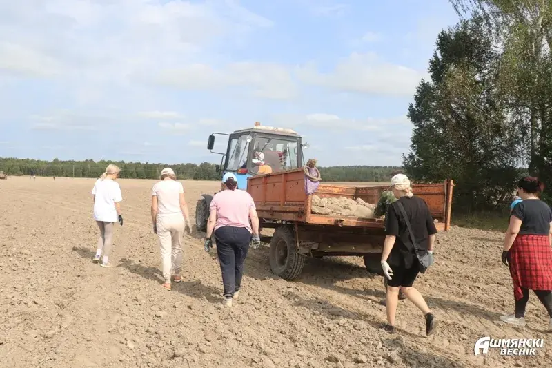 У Ашмянскім раёне з вясны выконваюць даручэнне Лукашэнкі — збіраюць камяні