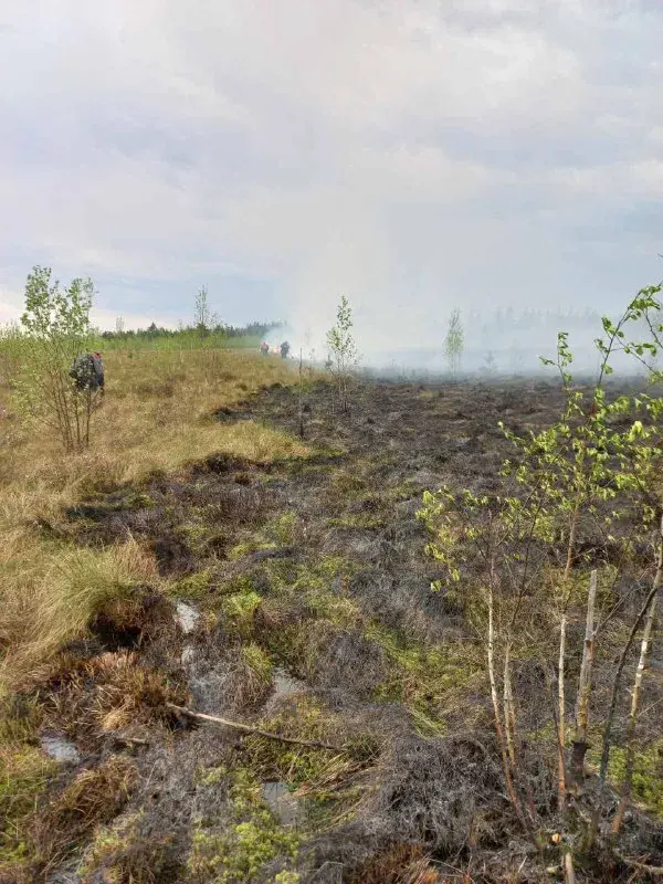 На Палессі ліквідавалі пажар, які "перайшоў з боку Украіны"