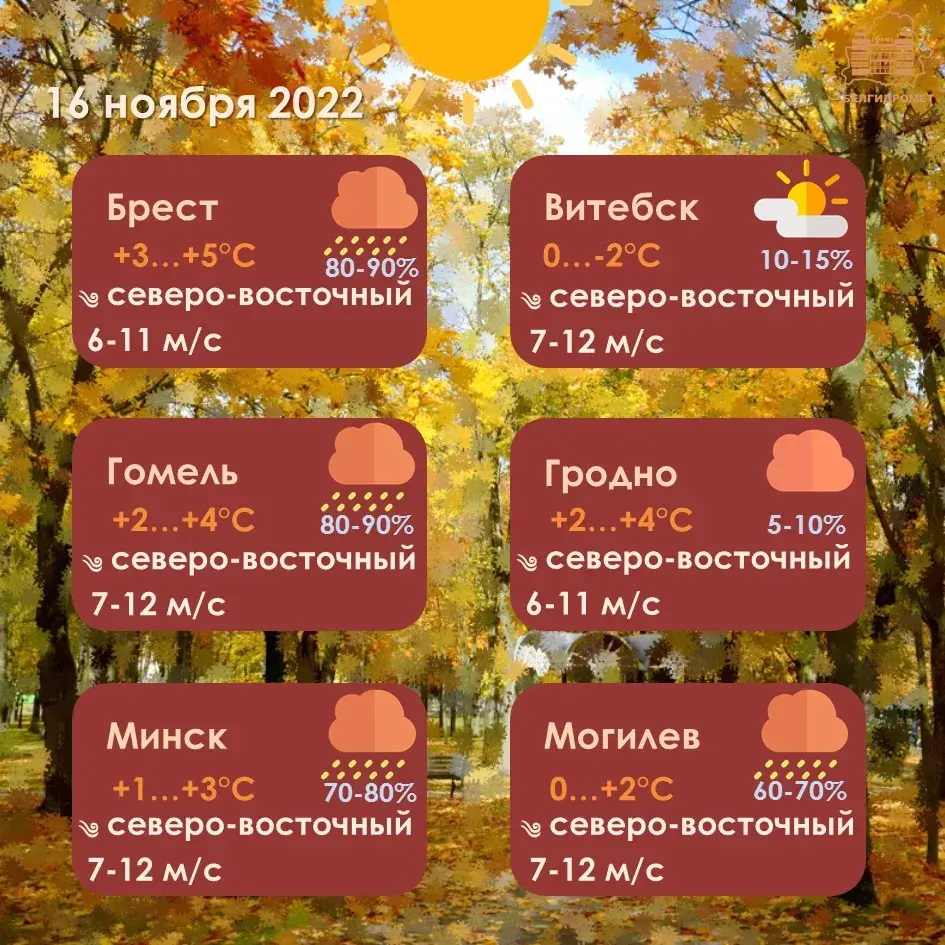 16 лістапада па паўночным усходзе Беларусі прагназуюць галалёдзіцу