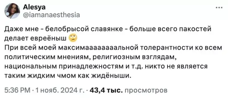 Дзіцячая доктарка з Мінска шакавала сацсетку Х антысеміцкімі выказваннямі