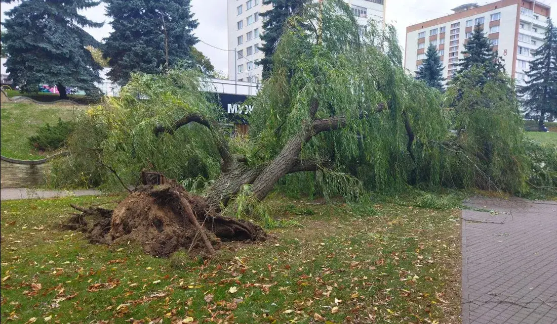 Вецер знёс прыпынак у Мінску — фота