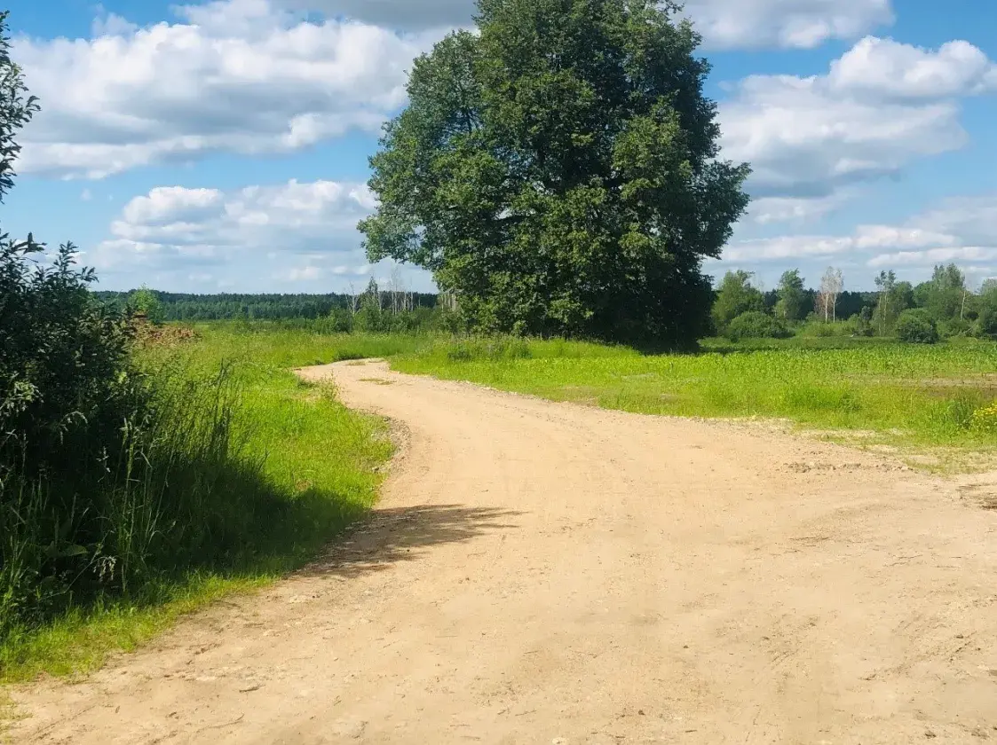 Жыхары Кругляншчыны паскардзіліся ў Дзяржкантроль на кепскую дарогу на могілкі