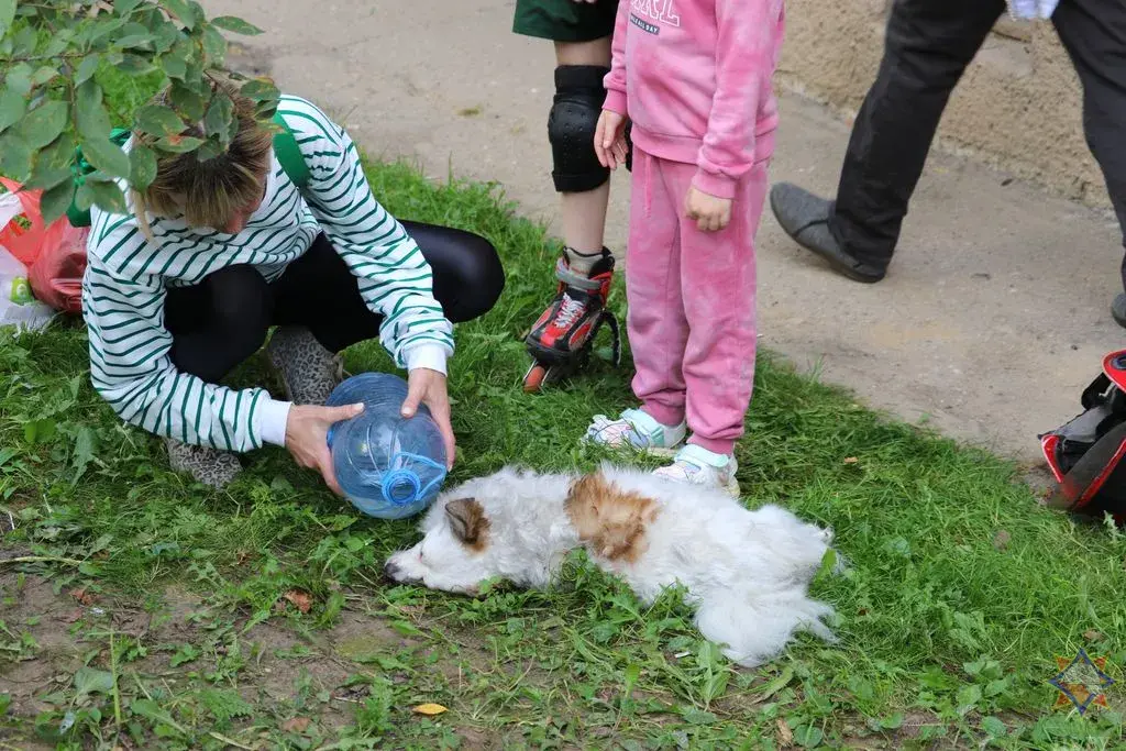 На пажары ў Гродне загінуў шасцігадовы хлопчык