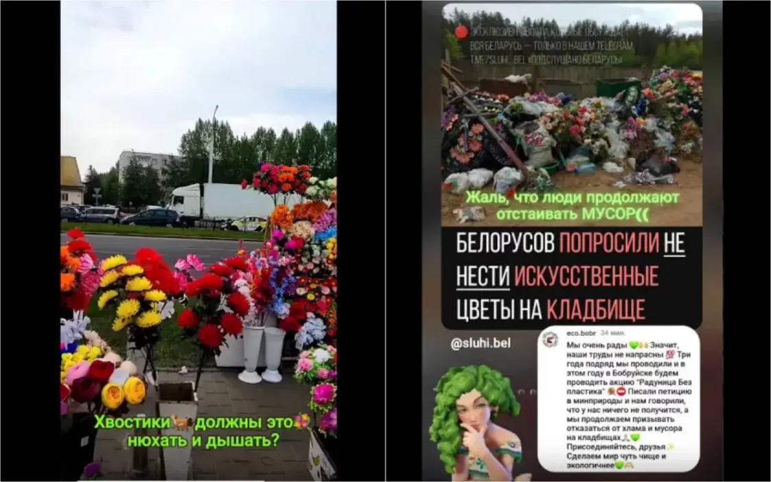 Учёный, чиновники и обычные люди о запрете искусственных цветов в Беларуси