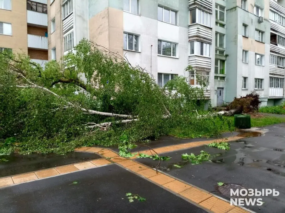 Ураган пакінуў Мазыр без святла і вады