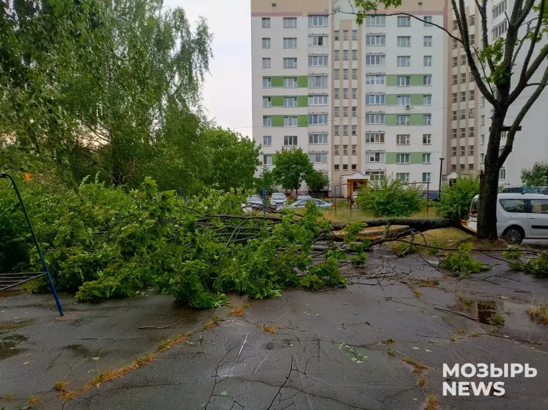 Ураган пакінуў Мазыр без святла і вады