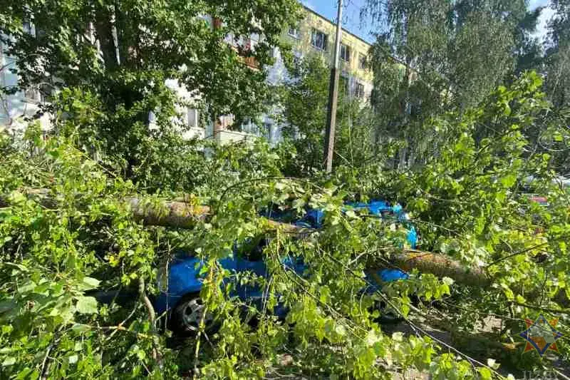 Ад стыхіі ў панядзелак загінуў чалавек, некалькі атрымалі траўмы