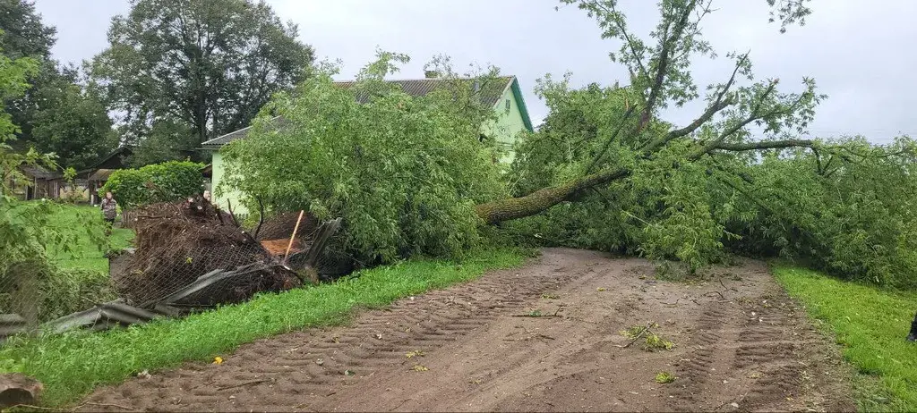 Ад стыхіі ў панядзелак загінуў чалавек, некалькі атрымалі траўмы